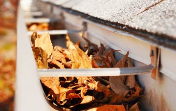 Llanfechain gutter cleaning companies