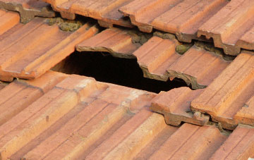roof repair Llanfechain, Powys