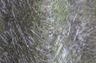 Llanfechain fibreglass roof work